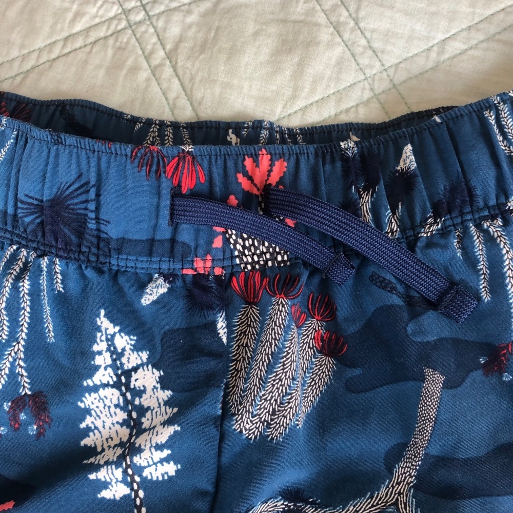 North Face Shorts - Picture 3 of 8